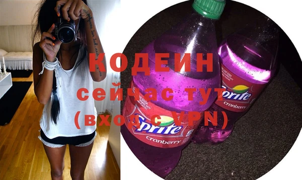 шишки Сатка